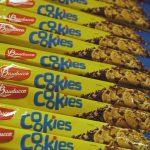 Sequence 04.00_04_16_05.Still196